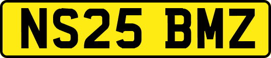 NS25BMZ