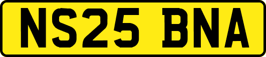 NS25BNA