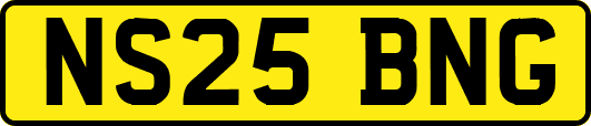 NS25BNG