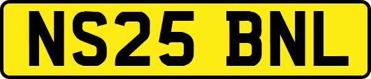 NS25BNL