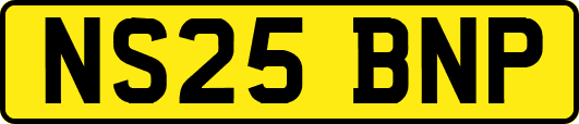 NS25BNP