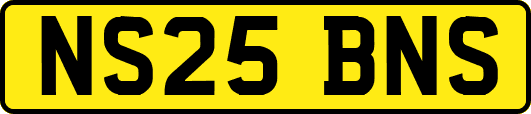 NS25BNS
