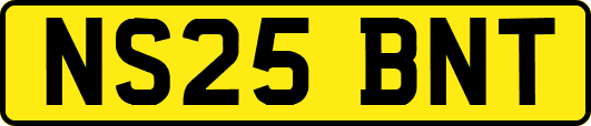 NS25BNT