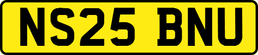 NS25BNU