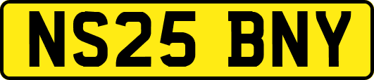 NS25BNY