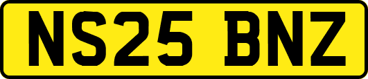 NS25BNZ