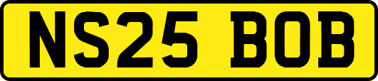 NS25BOB