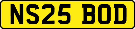 NS25BOD