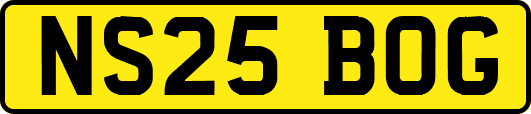 NS25BOG