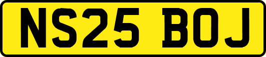 NS25BOJ