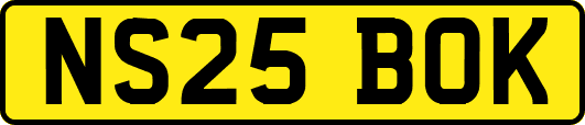 NS25BOK