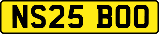 NS25BOO