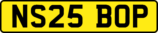 NS25BOP
