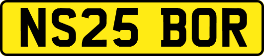 NS25BOR