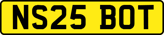 NS25BOT