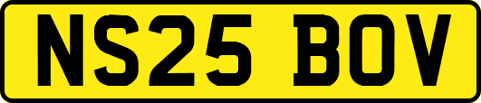 NS25BOV