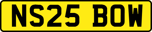 NS25BOW