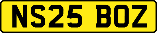 NS25BOZ