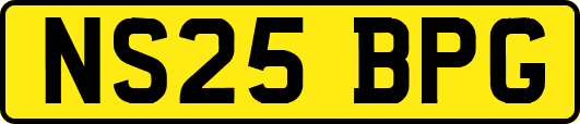 NS25BPG