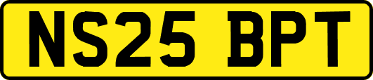 NS25BPT