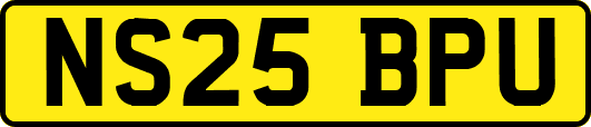 NS25BPU
