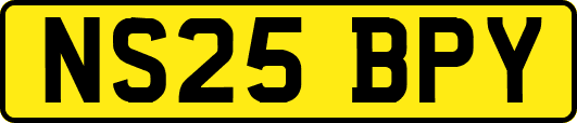 NS25BPY