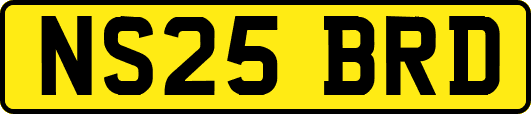 NS25BRD