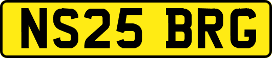 NS25BRG