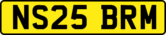 NS25BRM