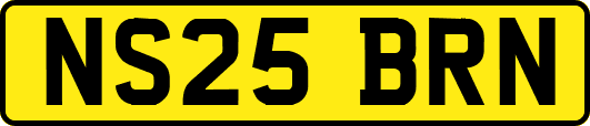 NS25BRN