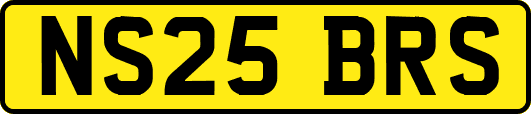 NS25BRS