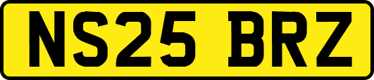 NS25BRZ