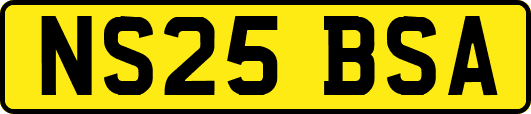 NS25BSA