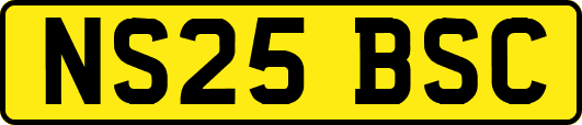 NS25BSC