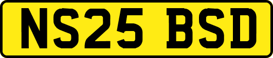 NS25BSD