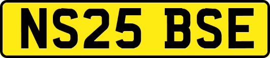 NS25BSE