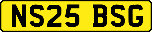 NS25BSG