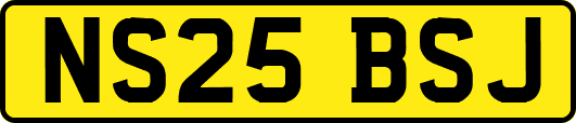 NS25BSJ