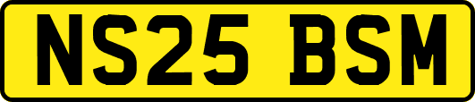 NS25BSM
