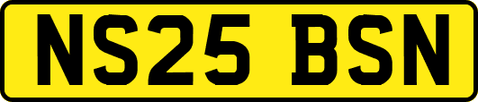 NS25BSN
