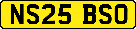 NS25BSO