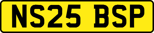NS25BSP