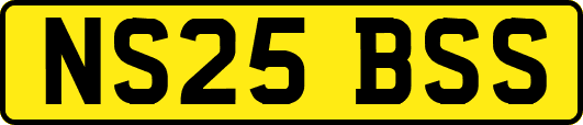 NS25BSS