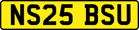 NS25BSU