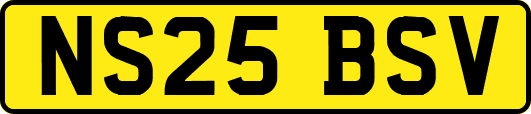 NS25BSV