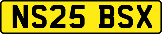 NS25BSX