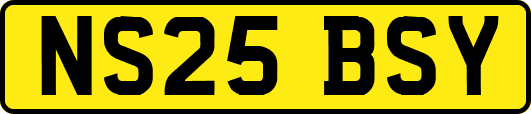 NS25BSY