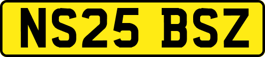 NS25BSZ
