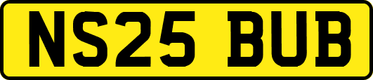 NS25BUB