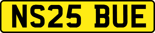 NS25BUE